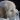 puppynogood