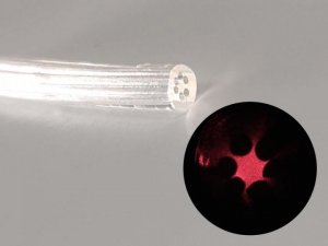 Бразильские исследователи разработали оптическое волокно из геля, полученного из морских водорослей