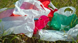 Чили отказалась от пластиковых пакетов