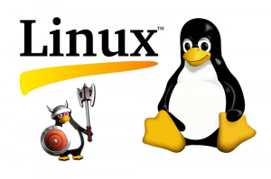  Linux 5.8