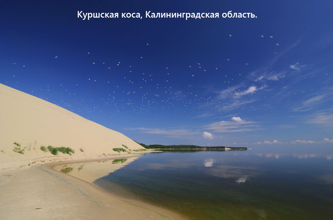 /user_images/197112/509866_1481616550.jpg