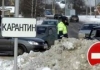 В девяти районах Подмосковья подтвердили наличие очагов птичьего гриппа