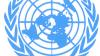 СПЧ ООН одобрил внесенный РФ проект резолюции о целостности судебной системы