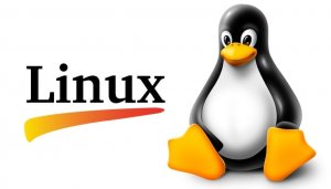 Cервис блогов для разработчиков ядра Linux появился вместо Google+ но был заблокирован Роскомнадзором