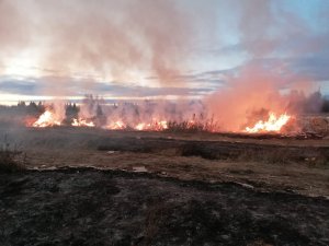 В пригороде Котельнича на выходных горела крупная свалка древесных отходов