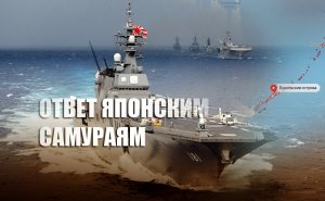 «Заголосили самураи!»: Россияне резко отреагировали на призыв японцев готовиться к войне с РФ