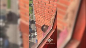 Силовики спасли жизнь аферисту, обманувшему футбольный клуб из Европы