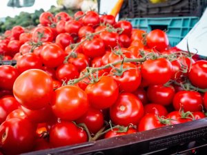 Херсонщина удачно сбыла прошлогоднюю продукцию и полностью готова к посевной – Сальдо