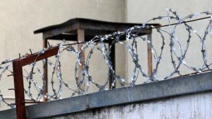 Под Одессой организовали концлагерь, заявил глава Снигиревки