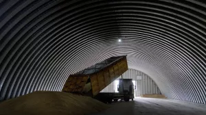 Польша попросила ЕС помочь освободить хранилища от украинского зерна