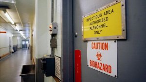США ищут способы военного применения биотехнологий, заявили в Минобороны