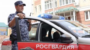 В Казани сотрудники Росгвардии задержали подозреваемого в угоне
