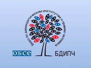 Миссия БДИПЧ ОБСЕ отметила вмешательство руководства Молдавии в избирательный процесс