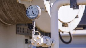 Захарова исключила благотворительность для Австрии в вопросе поставок газа