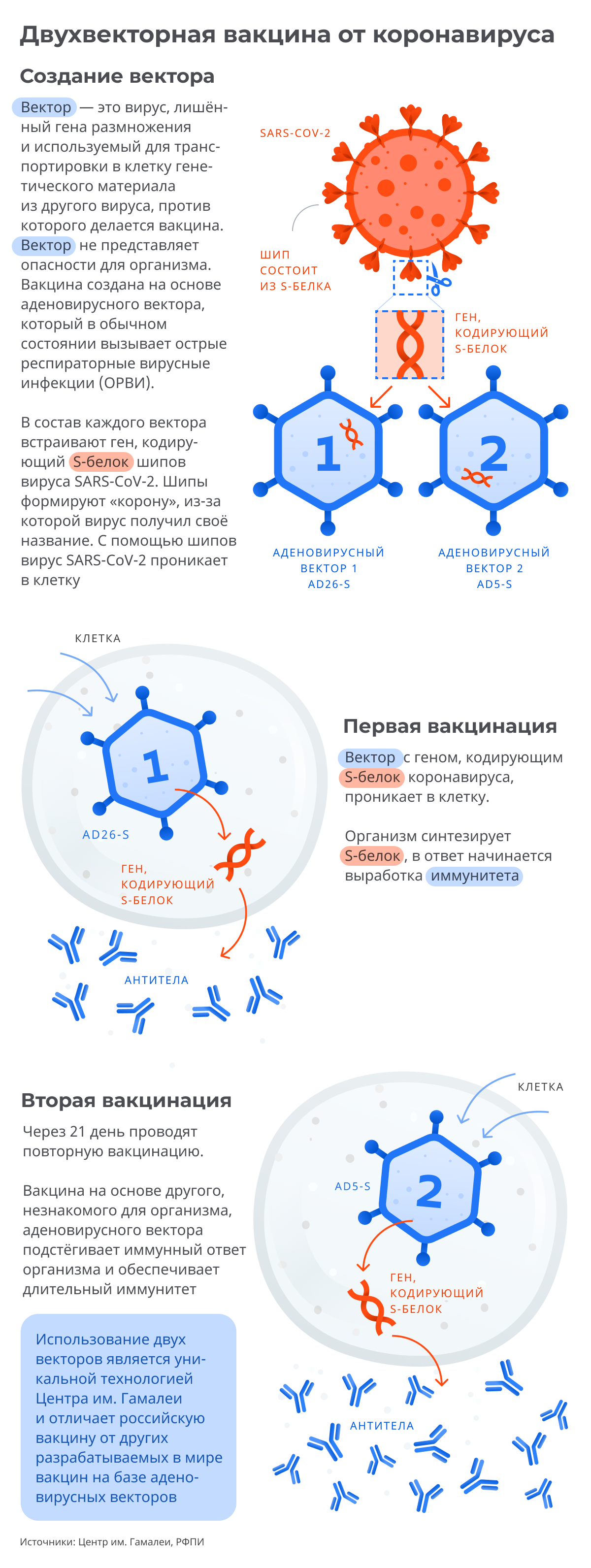 Вакцину назвали спутник. Вакцинация Covid-19 Спутник v. Вакцины от коронавируса в России. Состав вакцины от коронавируса. Вакцинация от коронавируса инфографика.