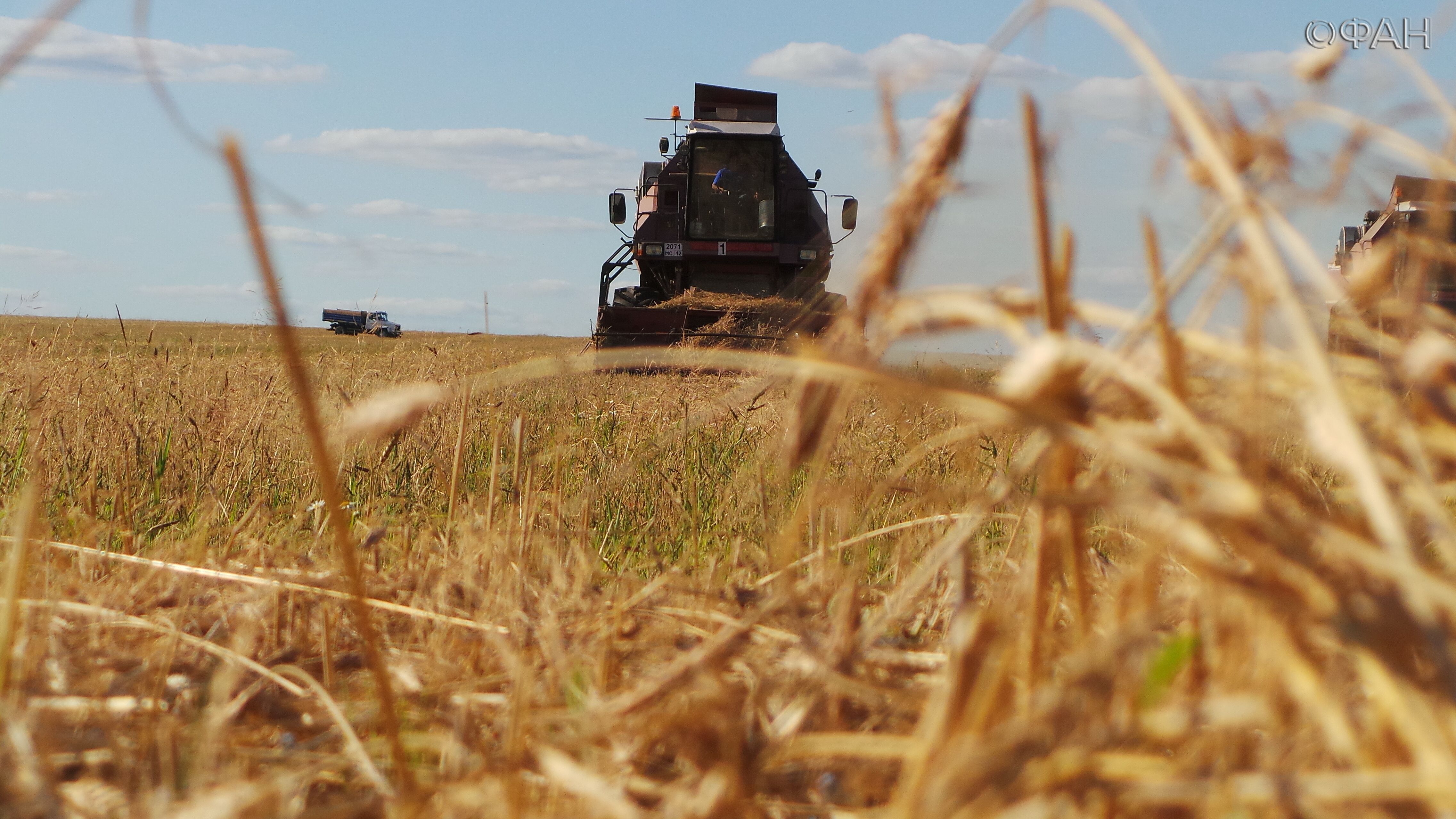 Панчин показал, как запрет на производство ГМО угрожает продовольственной безопасности РФ