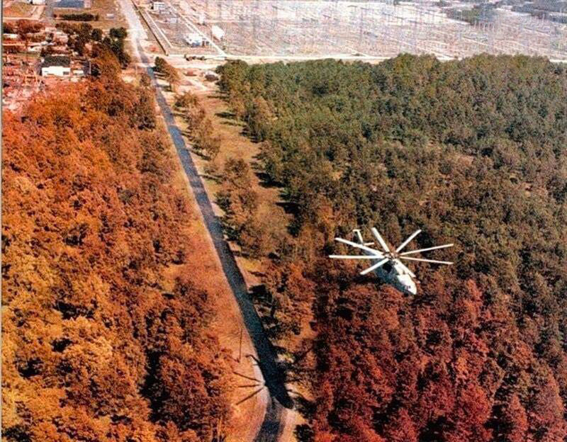 Рыжий лес Припять 1986 года: последствия Чернобыльской катастрофы