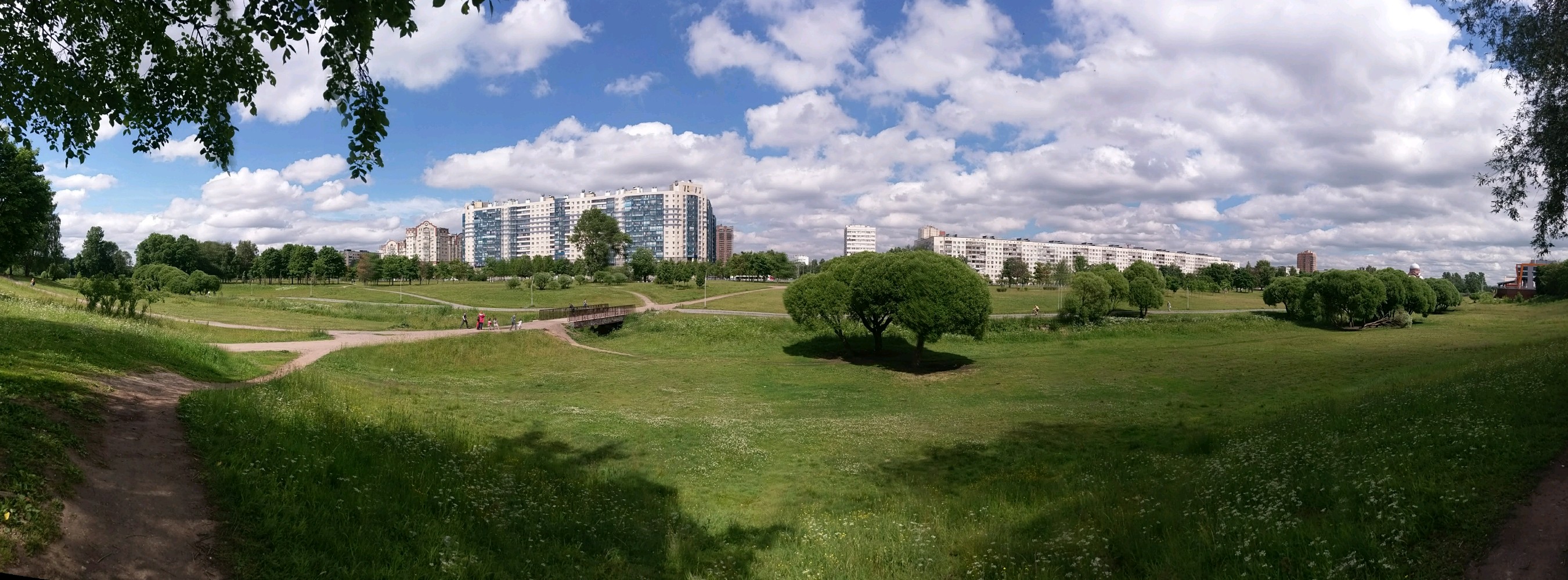 Экоцид под видом благоустройства: жители Калининского района боятся за Муринский парк