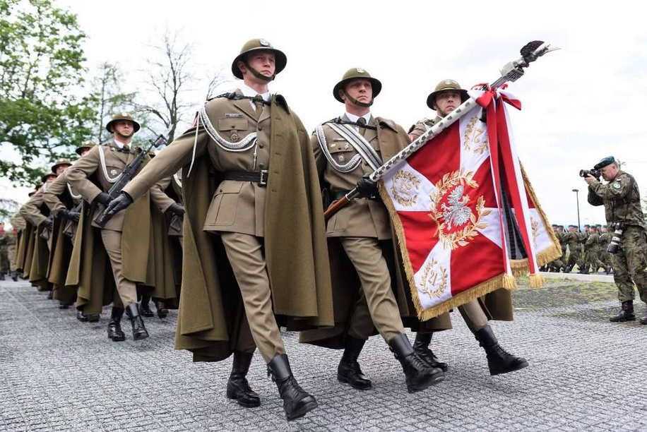 Го польский. Польская армия. Польские войска. Польская Военная форма современная. Польские солдаты.