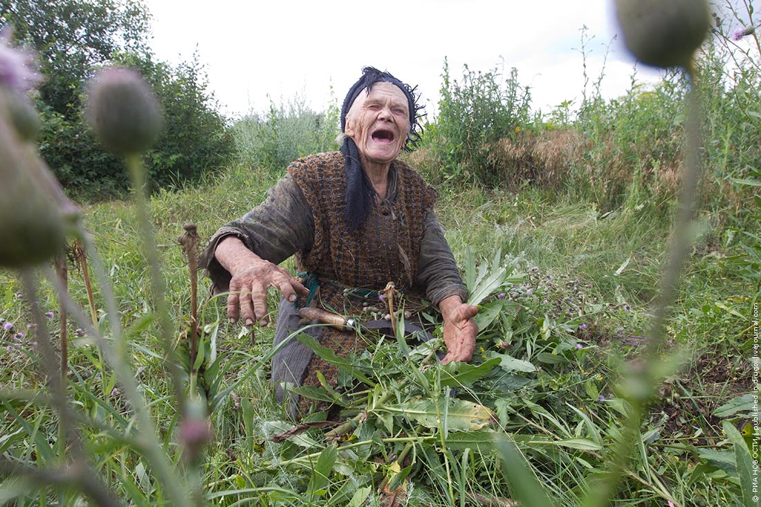 Тетка васеня. Бабка в огороде. Бабка с травой. Бабушка в огороде. Бабушка в поле.