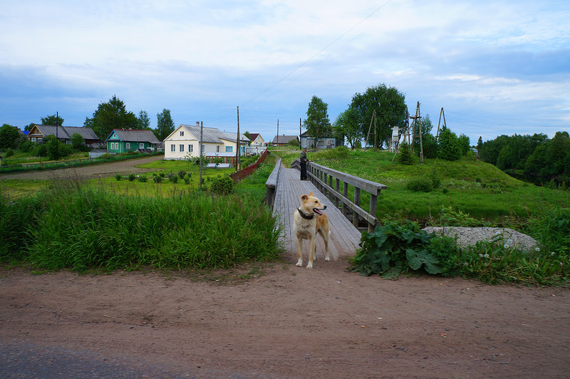 Видлица село Карелия Республика