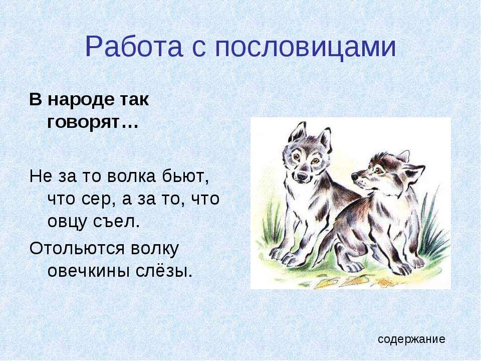 Не за то волка бьют что. Пословицы и поговорки про волка. Пословицы и поговорки о животных. Поговорки о животных. Волчьи поговорки.