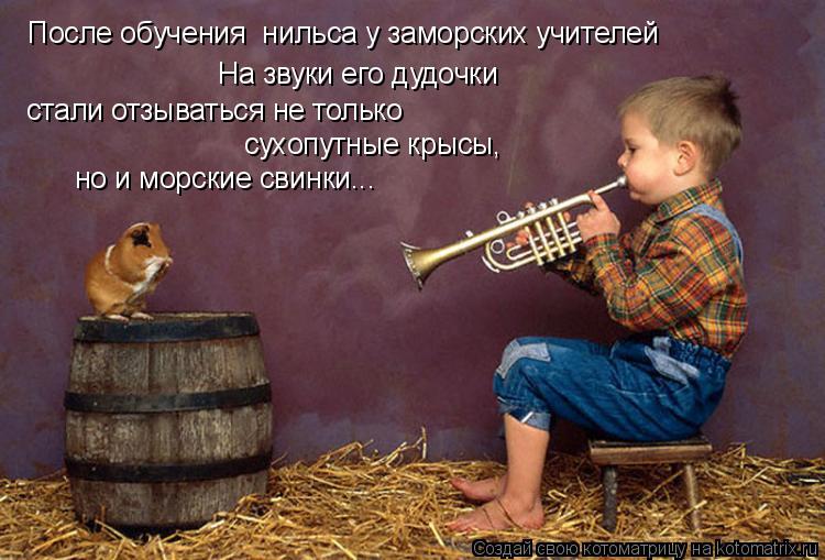 Соседская песня. Замечательный сосед. Животные с музыкальными инструментами. Забавные музыканты. Играющий на трубе.