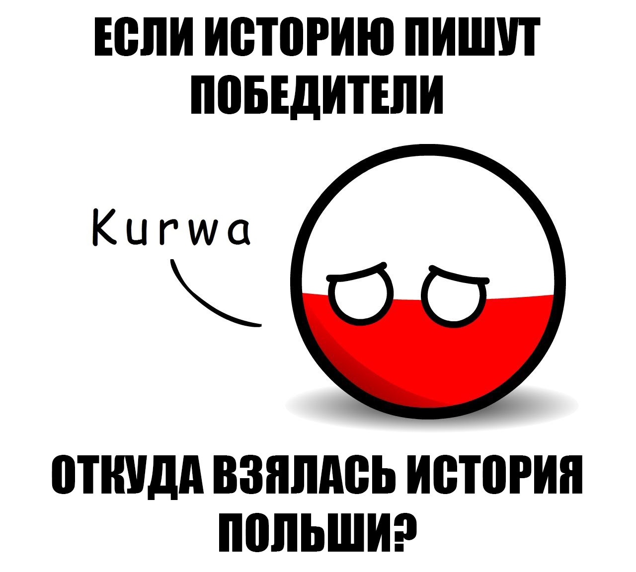 Историю пишут победители. Польша наши дни. Польша вытирайте ноги. Мемы приколы.