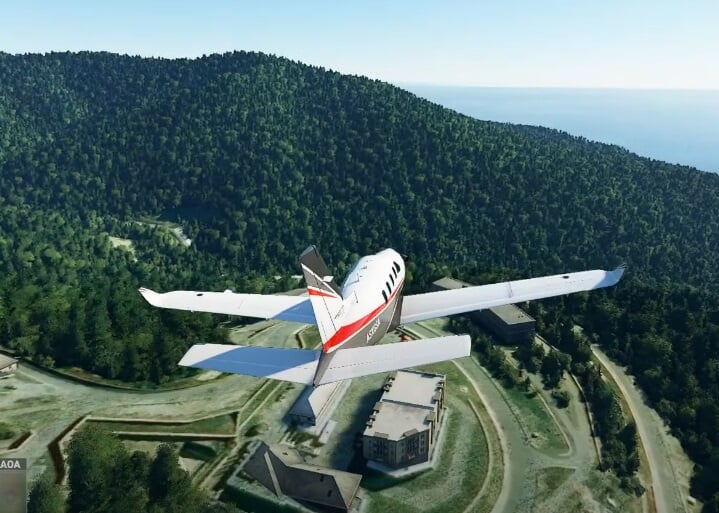   Microsoft Flight Simulator       